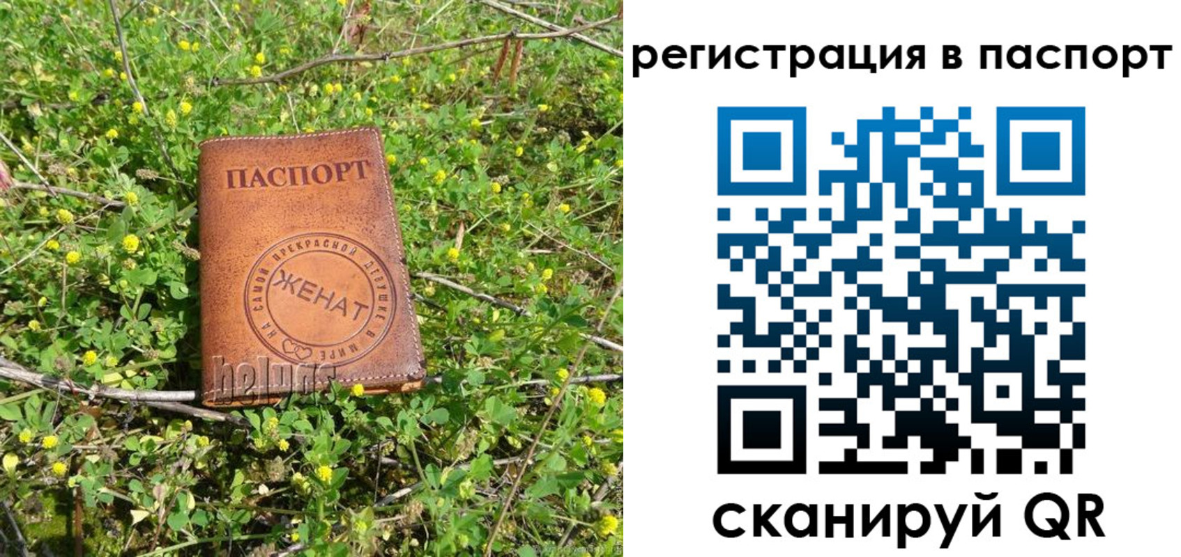 прописка законно в Нерехте